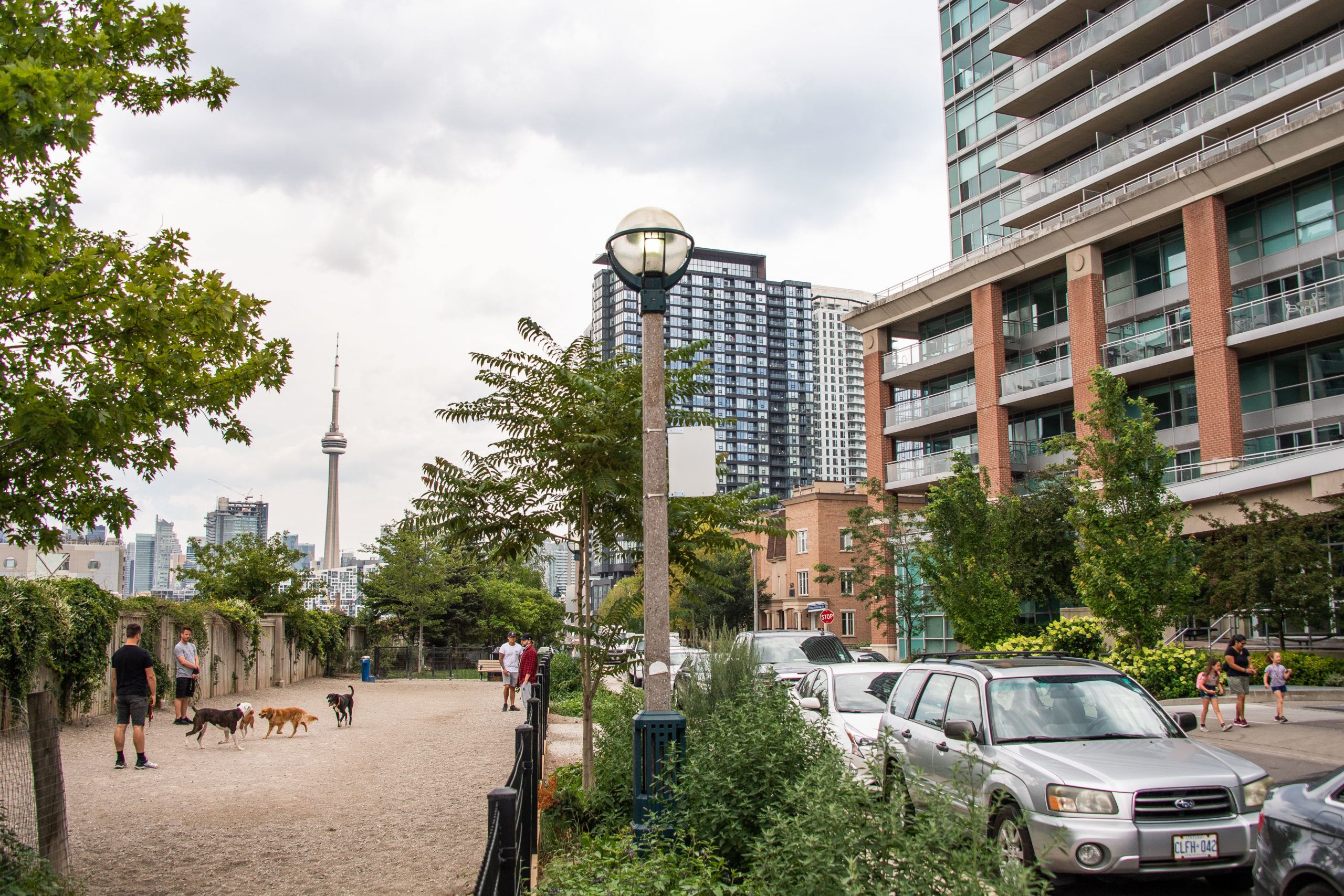 Liberty Village Dog Park